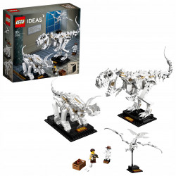 LEGO Ideas Szkielety dinozaurów Historia 21320