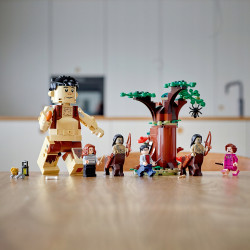 LEGO Zakazany Las: spotkanie Umbridge 75967