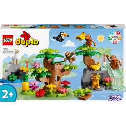 LEGO Duplo - Dzikie zwierzęta Ameryki Poł 10973