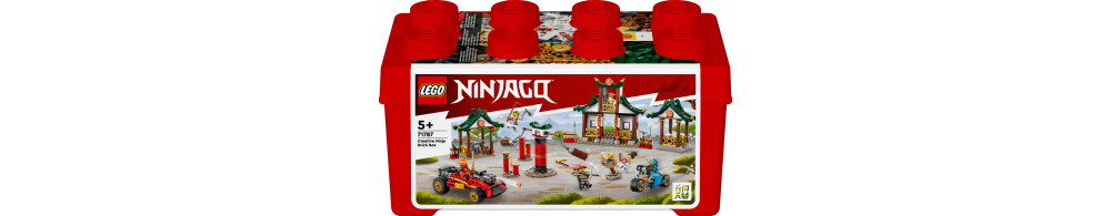 LEGO Ninjago Kreatywne pudełko z klockami 71787