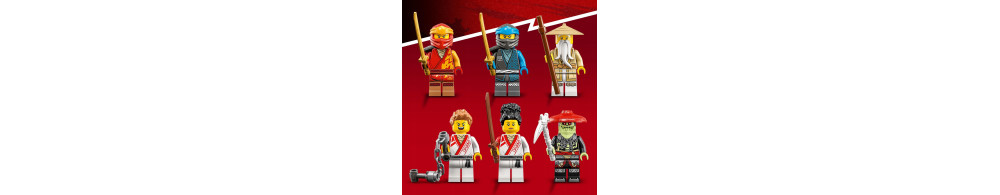 LEGO Ninjago Kreatywne pudełko z klockami 71787