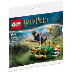 LEGO Harry Potter Trening quidditcha 30651