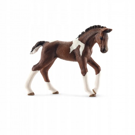 Schleich Figurka Trakeński Źrebak 13758