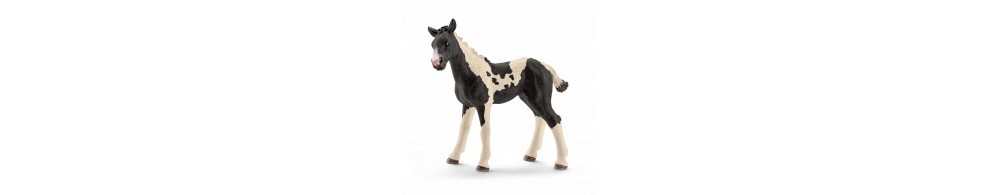 Schleich Rasa Pinto źrebię 13803