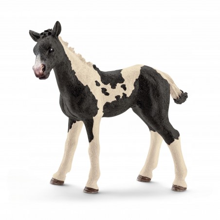 Schleich Rasa Pinto źrebię 13803