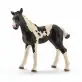 Schleich Rasa Pinto źrebię 13803