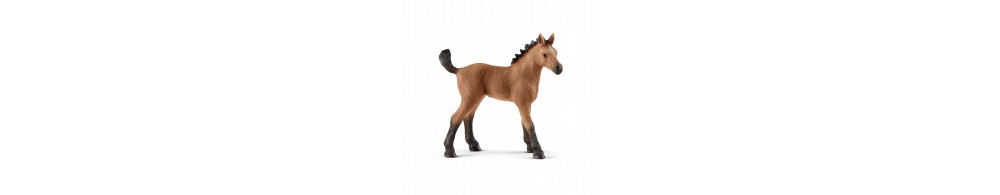 Schleich Źrebię Rasy Quarter 13854