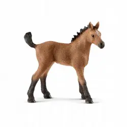 Schleich Źrebię Rasy Quarter 13854