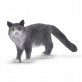 Schleich Kot Maine Coon figurka 13893