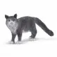 Schleich Kot Maine Coon figurka 13893