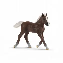 Schleich Źrebię Rasy Szwarcwaldzkiej 13899