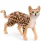 Schleich Farm World kot bengalski 13918