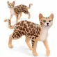 Schleich Farm World kot bengalski 13918