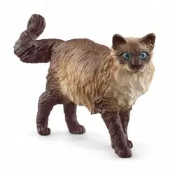 Schleich Kot Rasy Ragdoll 13940