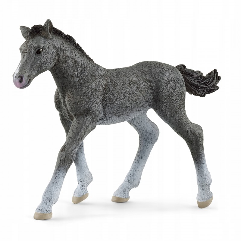 Schleich Źrebię Trakeńskie 13944