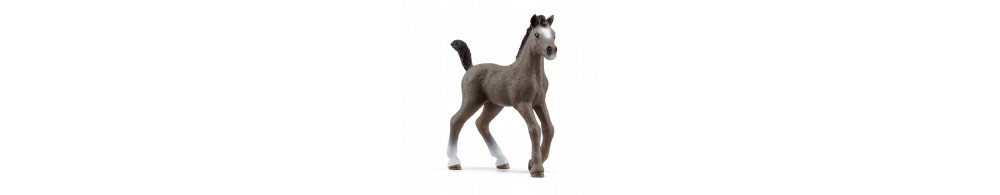 Schleich Źrebię Cheval de Selle Francaise 13957