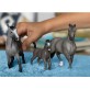 Schleich Źrebię Cheval de Selle Francaise 13957