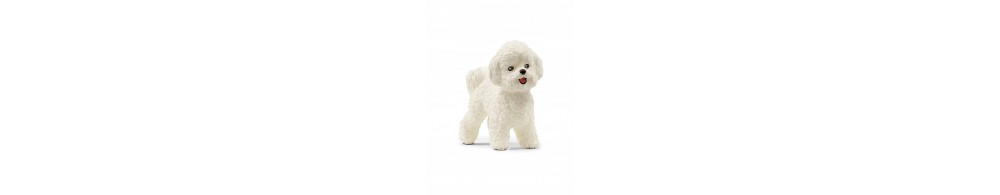 Schleich Pies rasy bichon frise 13963