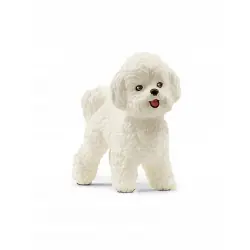 Schleich Pies rasy bichon frise 13963