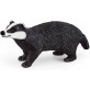 Schleich Wild Life figurka Borsuk 14842