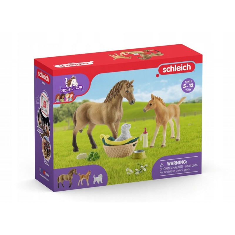 Schleich Zestaw Figurki Pielęgnacja zwierząt 42432