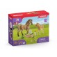 Schleich Zestaw Figurki Pielęgnacja zwierząt 42432