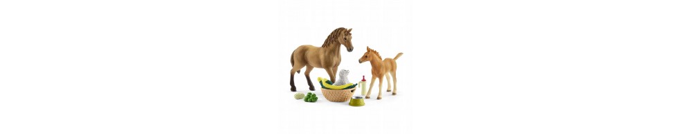 Schleich Zestaw Figurki Pielęgnacja zwierząt 42432