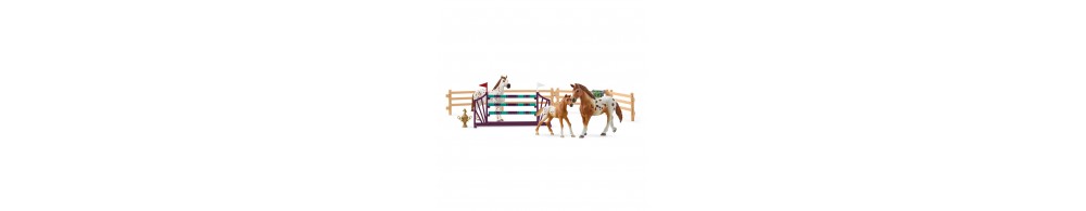 Schleich Koń Appaloosa zestaw treningowy 42433