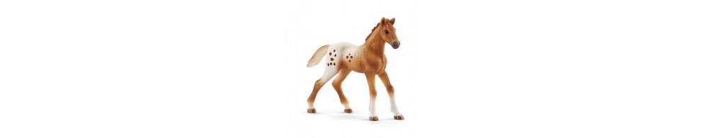 Schleich Koń Appaloosa zestaw treningowy 42433