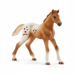 Schleich Koń Appaloosa zestaw treningowy 42433