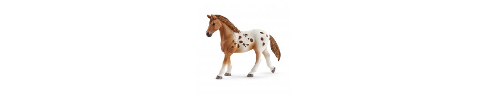 Schleich Koń Appaloosa zestaw treningowy 42433