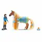 Schleich Zestaw Startowy Kim i Caramelo 42585