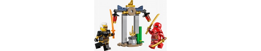 LEGO Ninjago Bitwa Kaia i Raptona w świątyni 30650