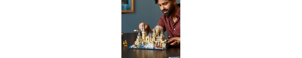 LEGO Harry Potter Zamek Hogwart i błonia 76419