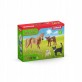 Schleich Farm World zestaw startowy 72161