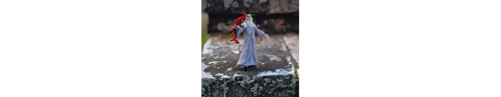 Schleich Figurka Dumbledore'a i Fawkesa 42637