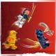LEGO Ninjago Smoczątko Riyu 71810