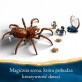 LEGO Harry Potter Aragog w Zakazanym Lesie 76434