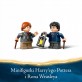 LEGO Harry Potter Aragog w Zakazanym Lesie 76434