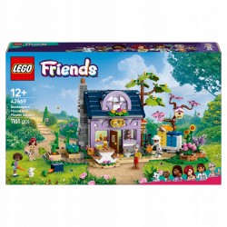 LEGO Friends Dom...