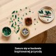 LEGO Botanicals Dracena sandera 10344