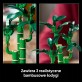 LEGO Botanicals Dracena sandera 10344