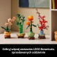 LEGO Botanicals Dracena sandera 10344