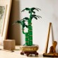 LEGO Botanicals Dracena sandera 10344