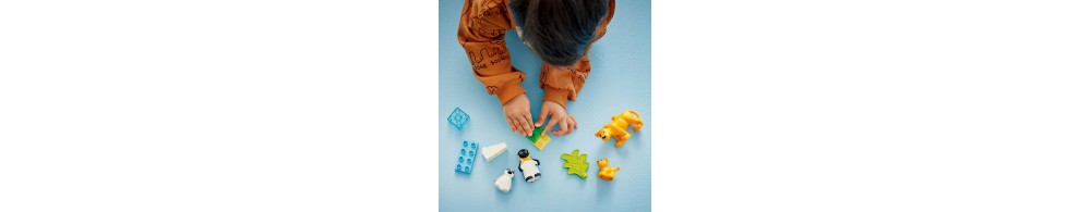 LEGO DUPLO Rodziny dzikich zwierząt: pingwiny i lwy 10442