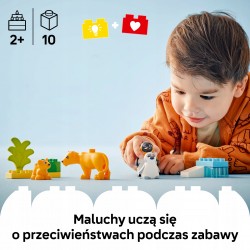 LEGO DUPLO Rodziny dzikich zwierząt: pingwiny i lwy 10442