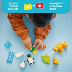 LEGO DUPLO Rodziny dzikich zwierząt: pingwiny i lwy 10442
