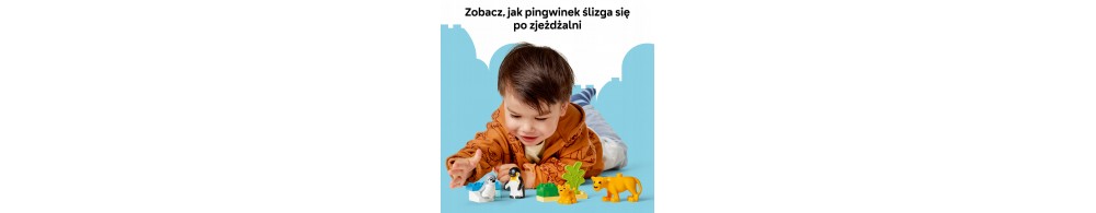 LEGO DUPLO Rodziny dzikich zwierząt: pingwiny i lwy 10442