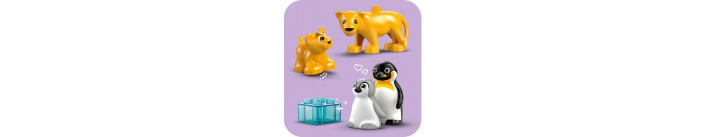 LEGO DUPLO Rodziny dzikich zwierząt: pingwiny i lwy 10442