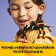 LEGO Creator 3 w 1 Dzikie zwierzęta: niezwykły pająk 31159